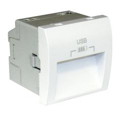 45384 SBM: Dvojit USB zsuvka, typ A, 2-moduly, biela matn